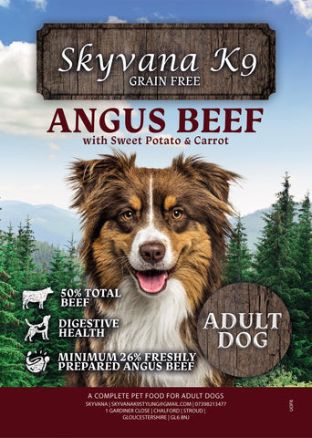 Grain Free Adult Dog Angus Beef with Sweet Potato & Carrot